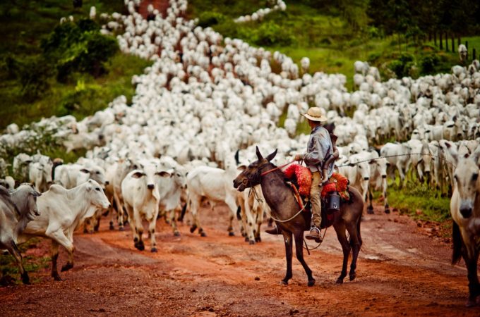 POBREZA, DESIQUALDADE E PRODUTIVIDADE